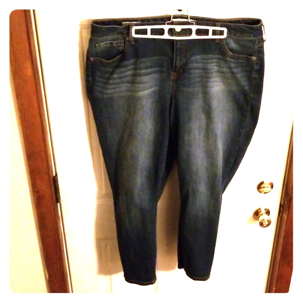 Torrid Denim size 20